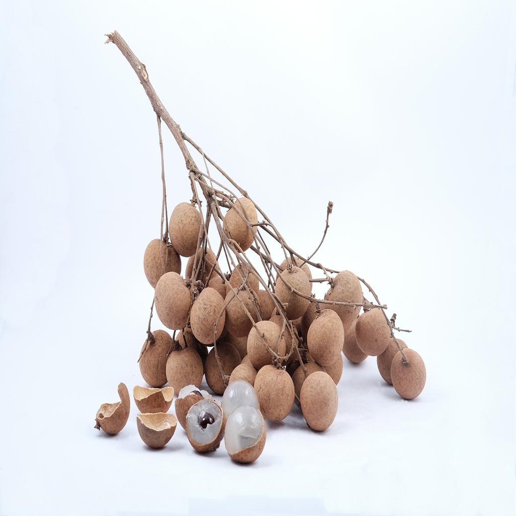 Longan