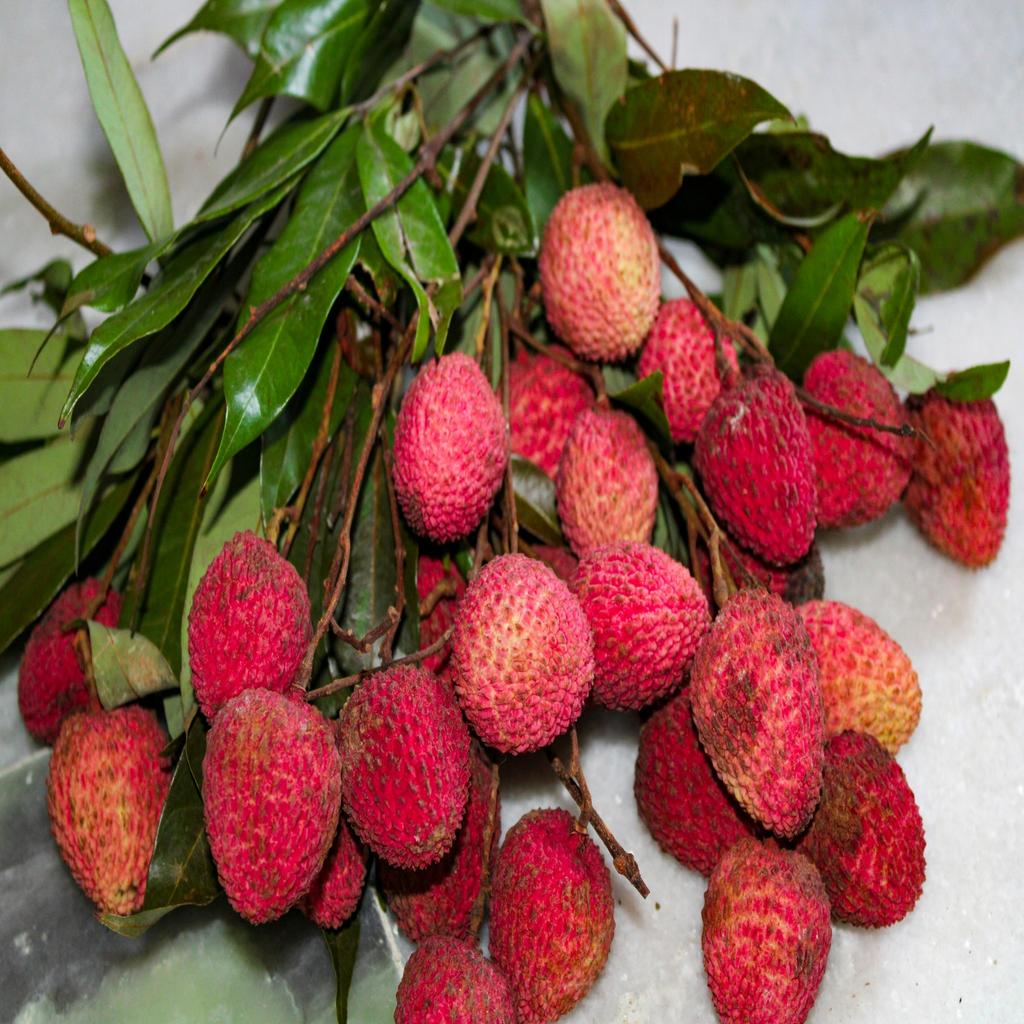 Lychee