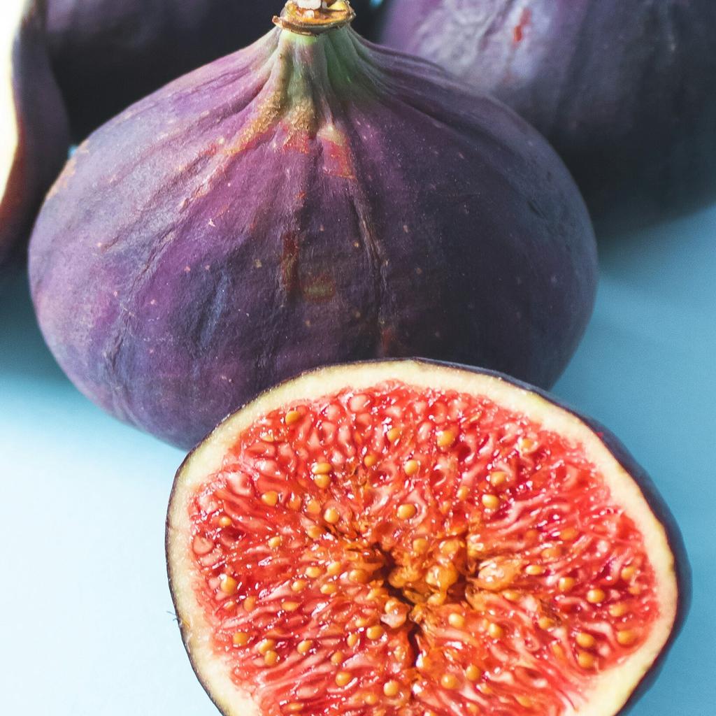 Fig